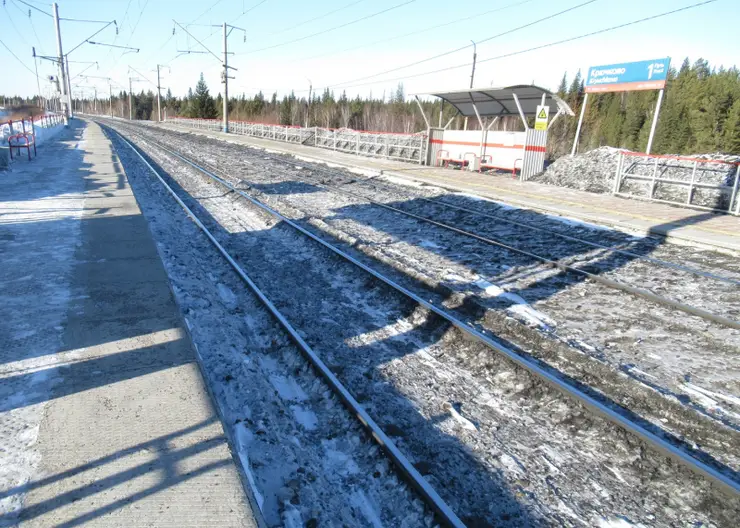 Под Красноярском поезд сбил 34-летнего мужчину