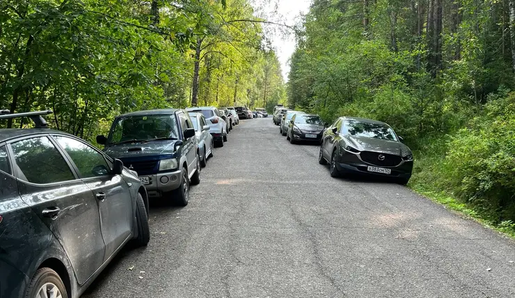 В нацпарке «Красноярские Столбы» просят водителей не парковать машины на дороге к кордону Лалетино