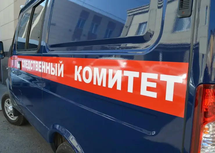 В Красноярском крае троих опекунов будут судить за издевательства над детьми