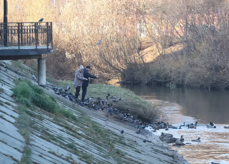 В выходные красноярцев ждет холодная и пасмурная погода