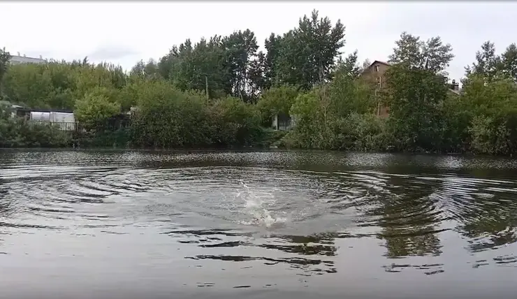 В Красноярском крае на реке Курейка перевернулась лодка