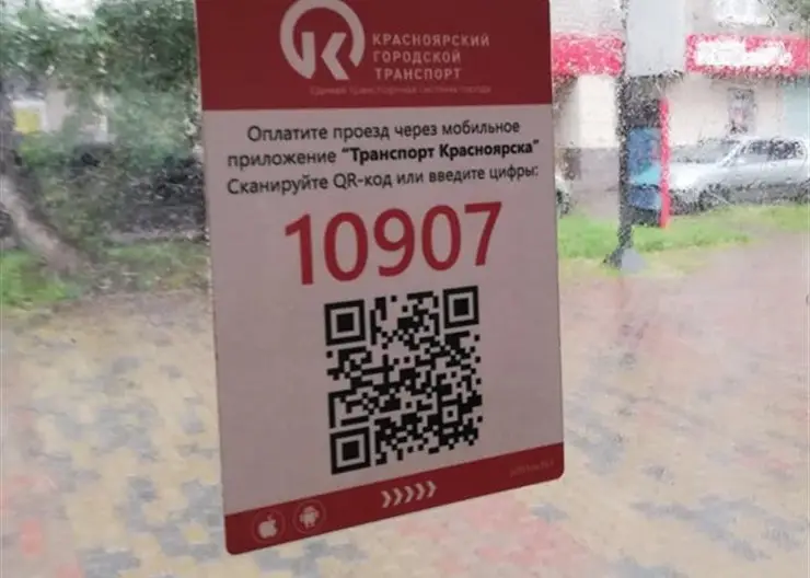 В Красноярске с 1 декабря начнут тестировать приложение для оплаты проезда в транспорте