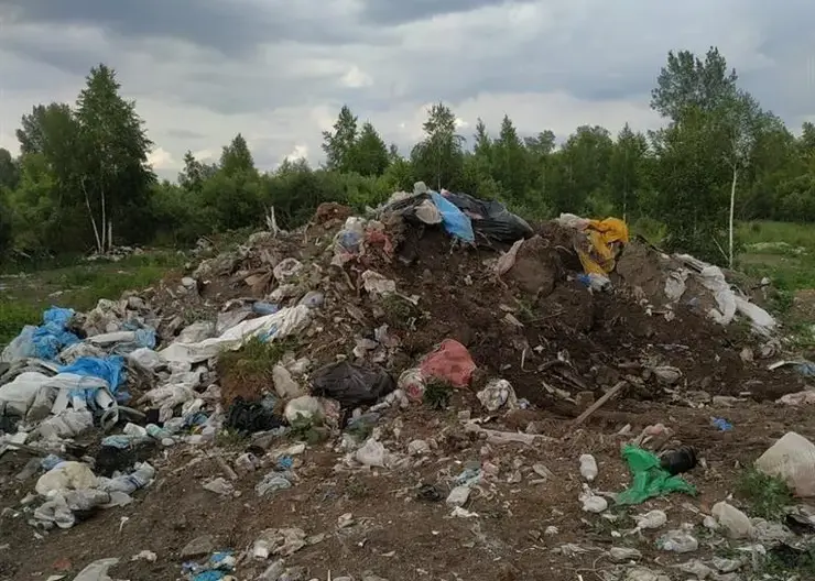 Более 8 тысяч кубометров мусора вывезли с несанкционированных свалок в Ленинском районе