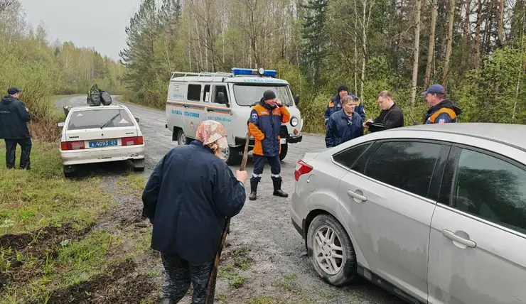 В лесах Красноярского края за сутки потерялись три человека