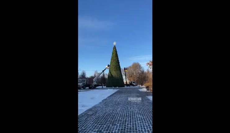 В Красноярске в сквере «Энтузиастов» впервые поставили елку