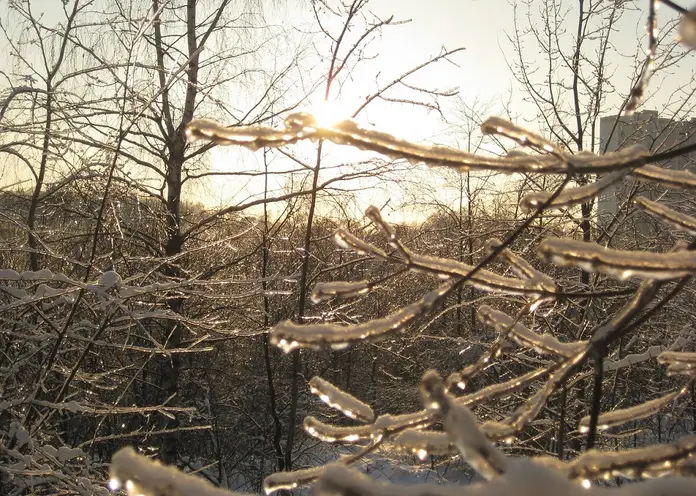 Последний день зимы в Красноярске будет по-весеннему тёплым