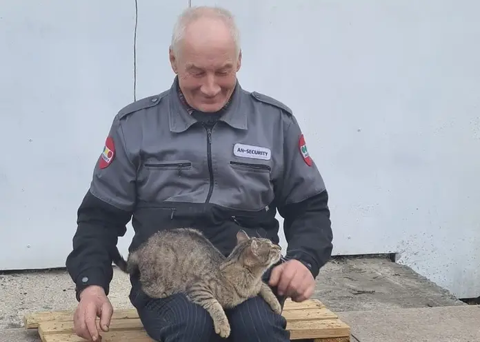 В Красноярске из храма на Щорса девушка похитила кота Барсика