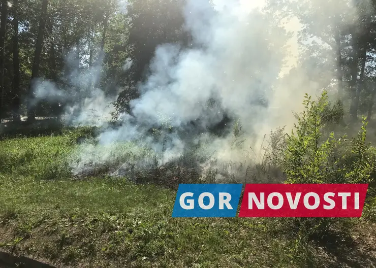 В Красноярске на острове Отдыха загорелась трава
