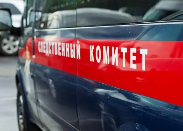 В Красноярске после смерти 11-летнего школьника возбудили уголовное дело