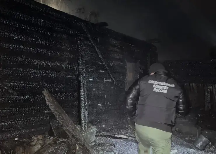 В Красноярском крае во время ночного пожара погибли два пенсионера