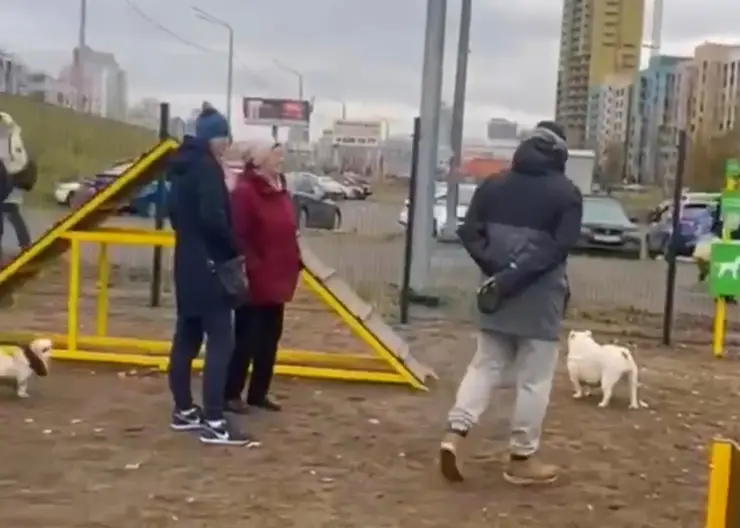 В Красноярске на Авиаторов появилась новая дог-площадка
