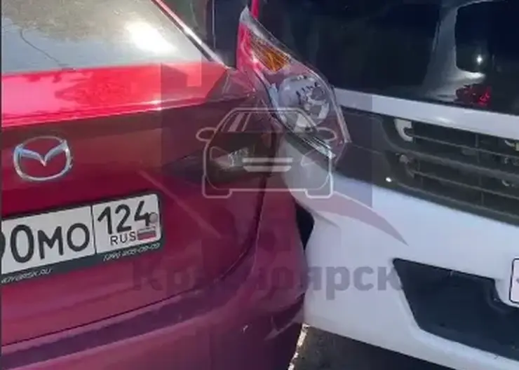 В Красноярске мужчина вытащил водителя автобуса из салона и избил его