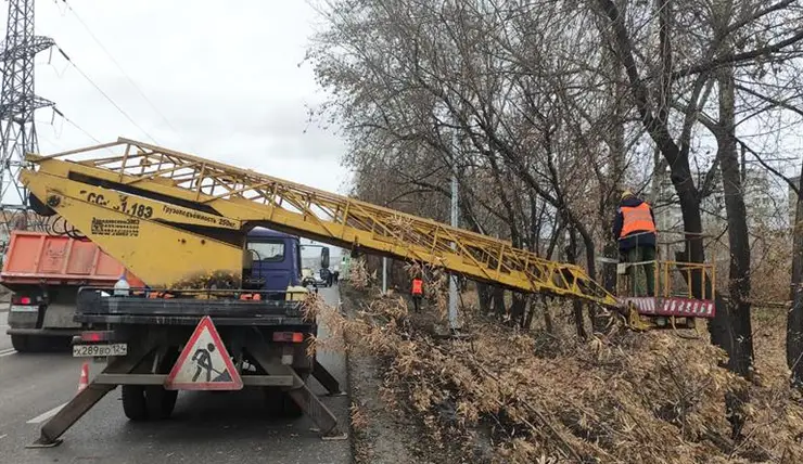 В Красноярске из-за теплой погоды позже обычного начали обрезку деревьев