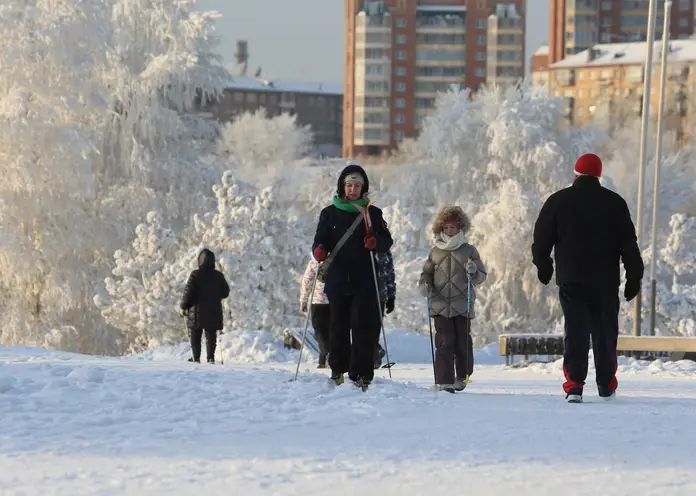 Жители Сибири рассказали о желаемых мерах поддержки своих семей