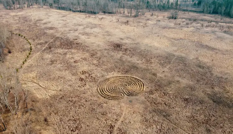 В Красноярске на острове Татышев обнаружены таинственные круги на полях