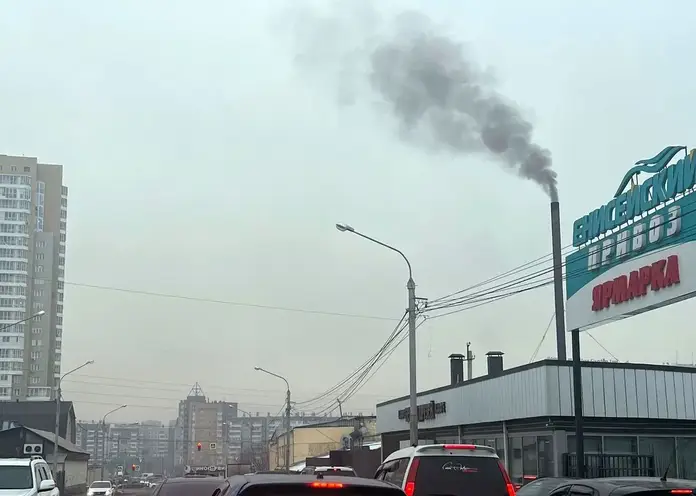 В Центральном районе Красноярска продолжаются экологические рейды