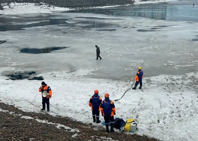 На Красноярском водохранилище провалилась под лед косуля и утонула