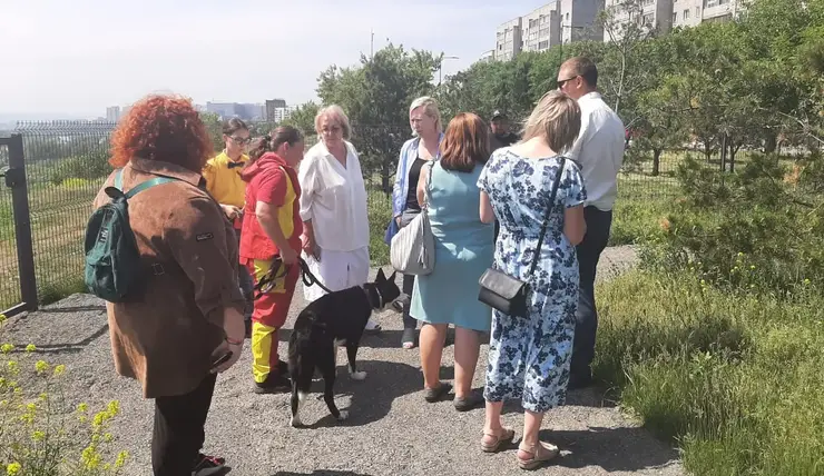 В Красноярске площадку для выгула собак на набережной «Зеленый берег» проверили кинологи