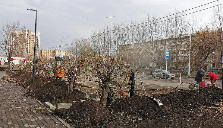 В Красноярске на улице Павлова завершается большое озеленение