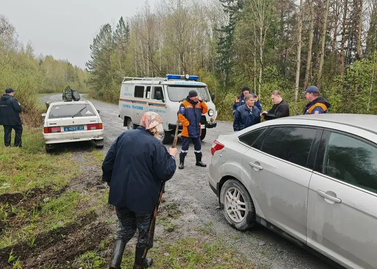 В лесах Красноярского края за сутки потерялись три человека
