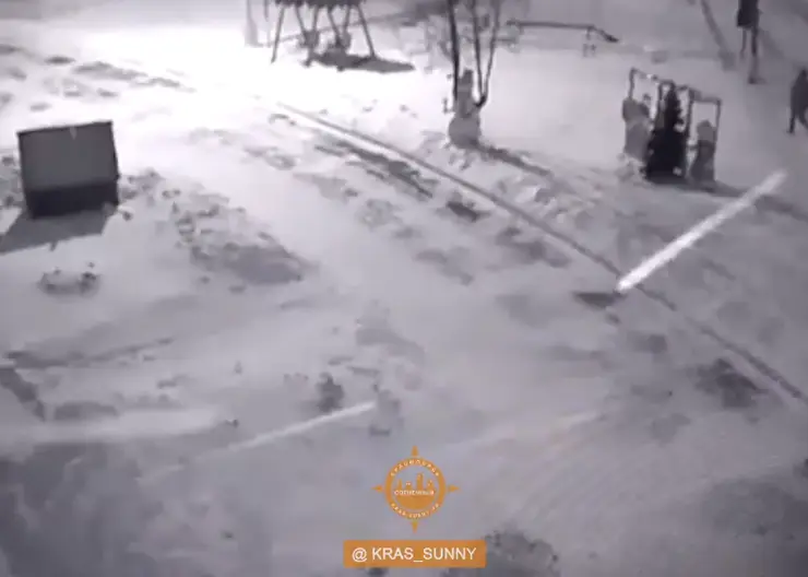 В Красноярске в Солнечном с территории детского сада мужчина украл елку
