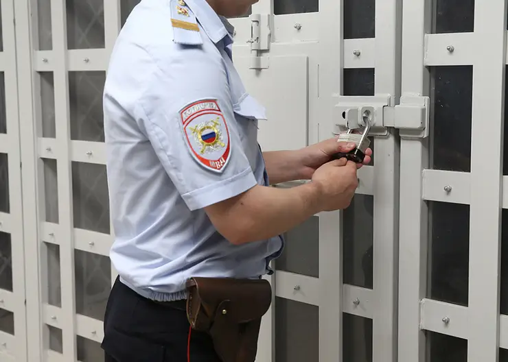 В Красноярске наркоплантатор попал под следствие за попытку дать взятку полицейскому
