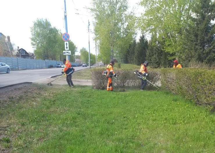 В Красноярске приводят в порядок газоны