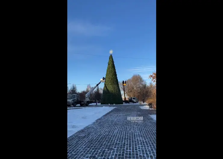 В Красноярске в сквере «Энтузиастов» впервые поставили елку