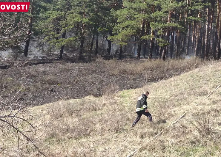 В лесах Красноярского края ввели режим ЧС из-за жары