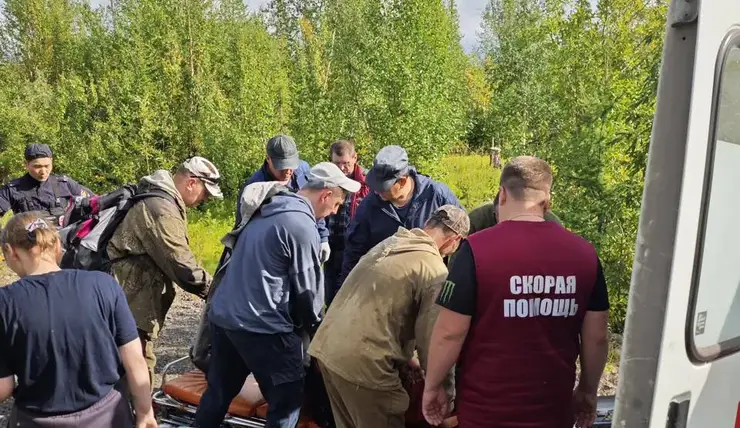 В Норильске сутки искали пропавшего в лесу 75-летнего грибника