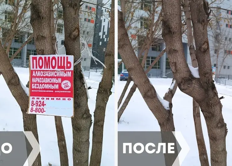 В Красноярске с улиц Центрального района вывезли 14 КамАЗов незаконной рекламы