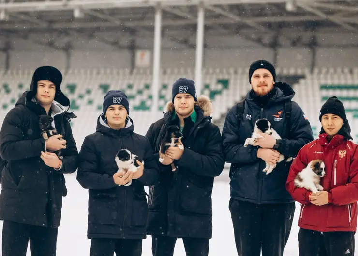 Красноярские регбисты «Красного Яра» провели милую фотосессию с щенками из приюта
