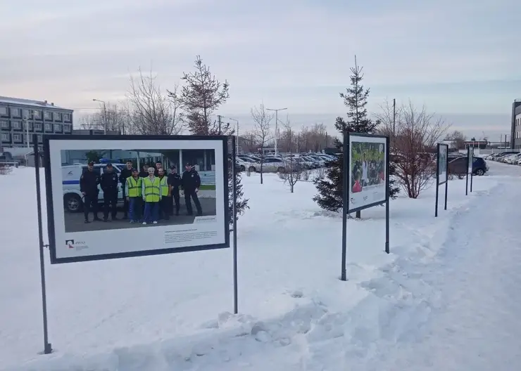 В Красноярске появилась аллея корпоративных волонтёров