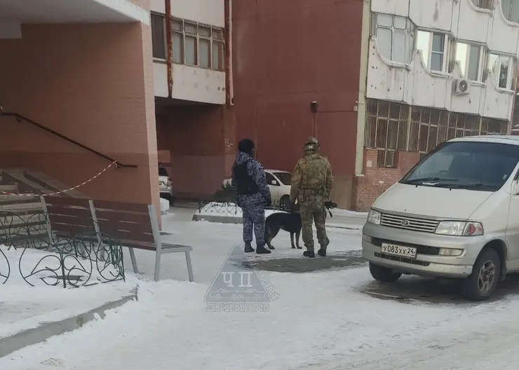 В Железногорске при хлопке в квартире погиб 55-летний мужчина
