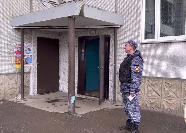 Жительница Красноярска ударила 76-летнюю пенсионерку камнем по голове и украла сумку