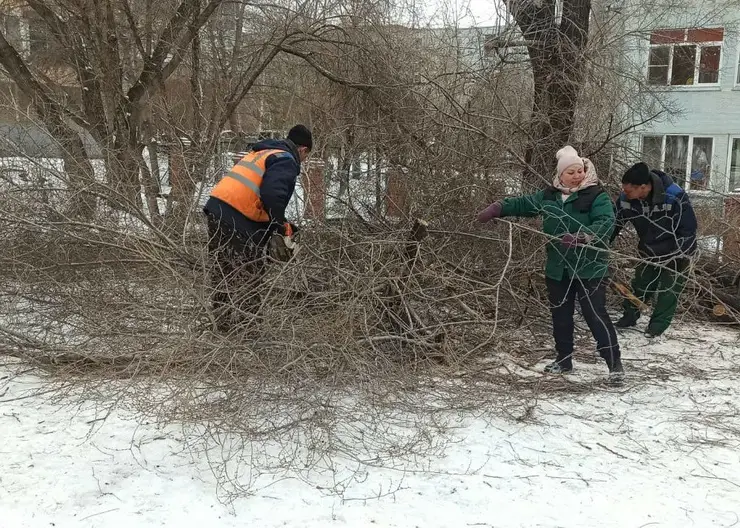 В Железнодорожном районе Красноярска обрезали деревья на 20 улицах
