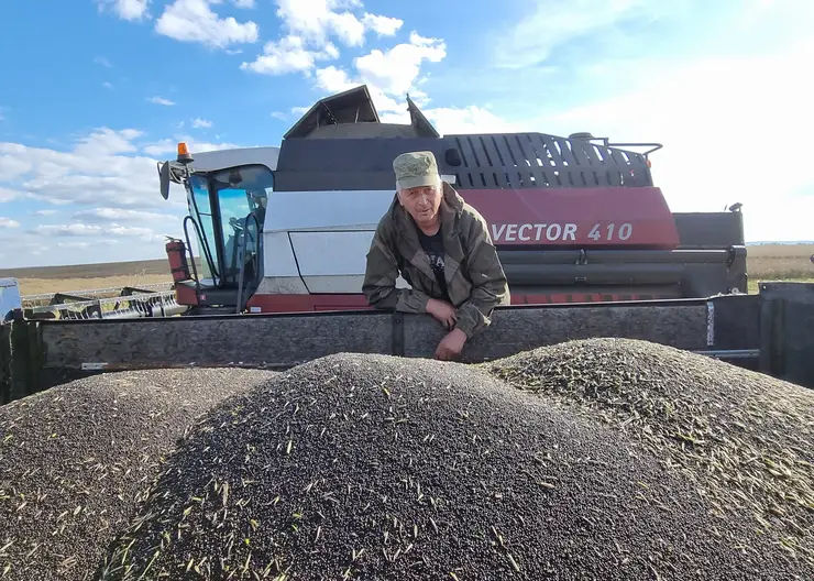 В Красноярском крае до конца года 49 аграриев получат поддержку на производство рапса и сои