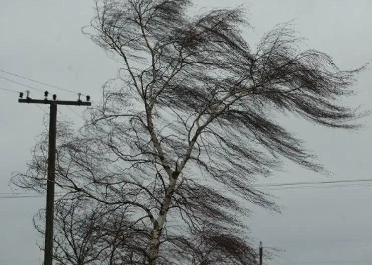 В Красноярском крае ожидается сильный ветер с метелью