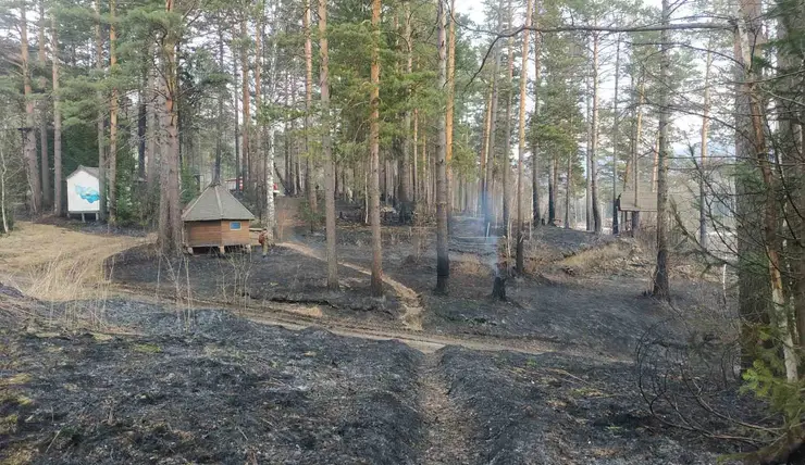 Под Красноярском в экопарке «Манаград» произошел пожар