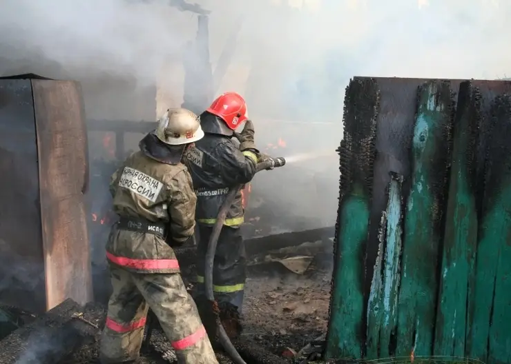 В Красноярском крае пожарные спасли из огня трех кошек и собаку