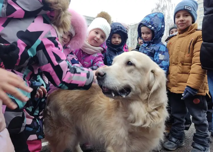 Детсадовцы Красноярска познакомились с собаками-терапевтами