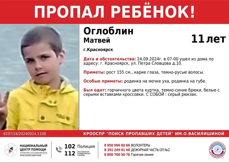 В Красноярске пропали два брата 11 и 9 лет