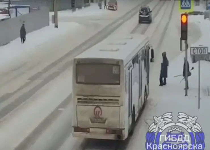 В Красноярске водитель автобуса чуть не сбил на переходе женщину с ребенком