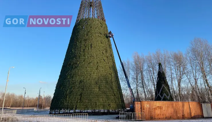 На острове Татышев в Красноярске монтируют новогоднюю ёлку
