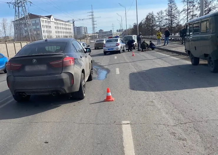 В Красноярске на Дубровинского водитель на BMW сбил косулю