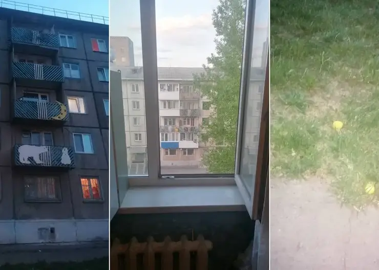 В Красноярском крае осудят мать за падение 4-летнего ребёнка из окна