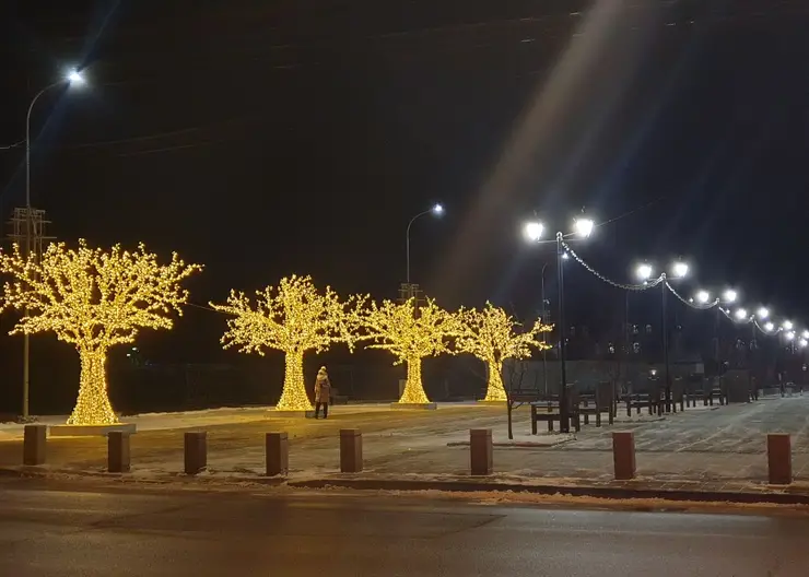 В Красноярске в Историческом квартале установили световые деревья