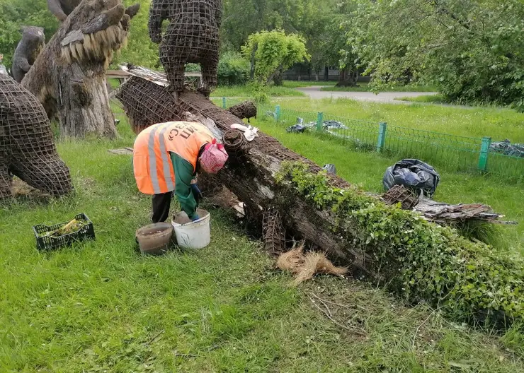 В Красноярске начали оформлять фигуры вертикального озеленения