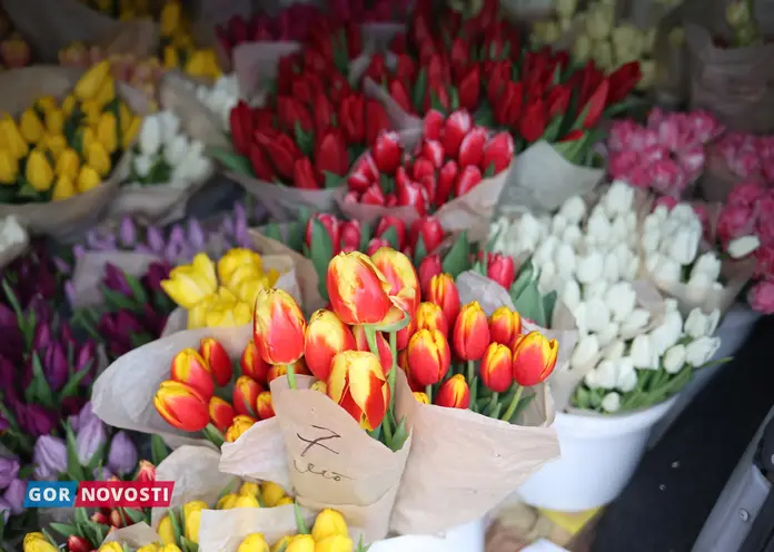 В Красноярске к 8 Марта массово продают тюльпаны