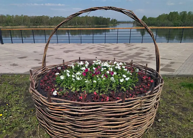 В Красноярске устанавливают большие цветочные корзины